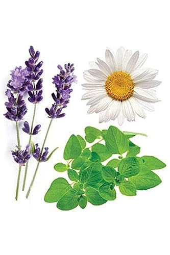 Doterra Serenity Essential Oil Restful Blend 15 Ml