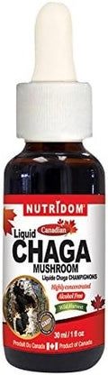 Nutridom Liquid Chaga mushroom (1x30ml bottle)