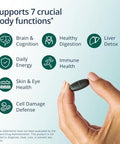 Metagenics PhytoMulti Multivitamin 20+ Essential Vitamins and Minerals with Phytonutrients Supports Healthy Aging Cellular Health Energy and Immune Function NonGMO and GlutenFree 60 Capsules