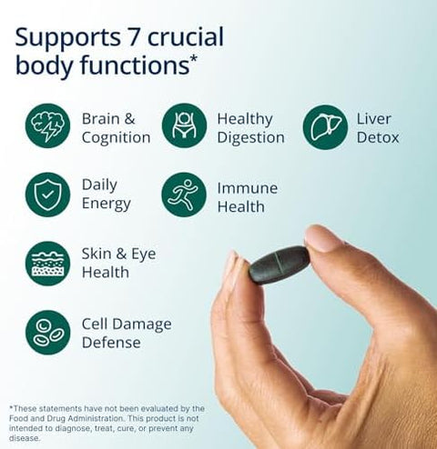Metagenics PhytoMulti Multivitamin 20+ Essential Vitamins and Minerals with Phytonutrients Supports Healthy Aging Cellular Health Energy and Immune Function NonGMO and GlutenFree 60 Capsules