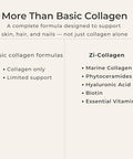 Zivere Zi-Collagen Marine Collagen Capsules For Skin Hair & Nails Support With Phytoceramides Hyaluronic Acid Biotin & Vitamins A C D3 E 60 Capsules