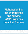 Life Extension Ampk Metabolic Activator, Hesperidin, G. Pentaphyllum, Fight Unwanted Belly Fat & Revitalize Cellular Metabolism, Gluten-Free, Non-Gmo, 30 Vegetarian Tablets