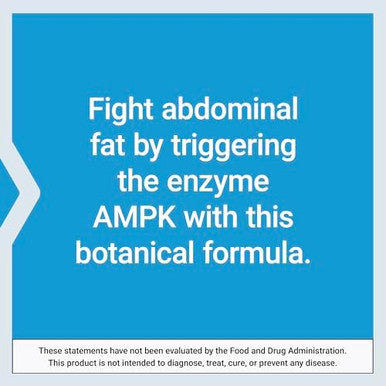 Life Extension Ampk Metabolic Activator, Hesperidin, G. Pentaphyllum, Fight Unwanted Belly Fat & Revitalize Cellular Metabolism, Gluten-Free, Non-Gmo, 30 Vegetarian Tablets