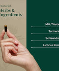 Gaia Herbs Pro Daily Liver Pro Natural Liver Support With Milk Thistle Licorice Root Turmeric Root & More Vegan Organic & Gluten 120 Liquid Phytocaps (60 Servings)
