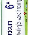 Boiron Natrum Muriaticum 6X For Runny Nose Due To Allergies 80 Pellets