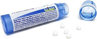 Boiron Chelidonium Majus 6C Homeopathic Medicine For Nausea With Right Upper Back Pain Pack Of 3 (240 Pellets)