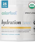 Sprout Living Colorfuel Hydration Powder Drink Mix Organic Superfoods + Adaptogens Hydration Support & Recovery Electrolytes Himalayan Pink Salt Coconut Water Lemon Citrus Flavor (25 Servings)