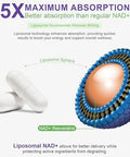 Nad+ Supplement - Liposomal Nicotinamide Riboside (Nr) And Resveratrol Quercetin - Natural Nad Supplement, Support Energy And Dna Repair, Longevity, Anti Aging And Cellular Health (900Mg-80 Capsules)
