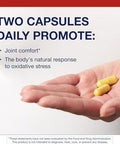 Metagenics Inflavonoid Intensive Care 120 Capsules