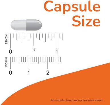 Now Intestinal Bacteria Support Clinically Validated Probiotic Promotes Regularity 60 Veg Capsules