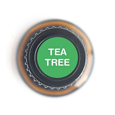 Nature s Fusions Tea Tree 100% Pure and Essential Oils (15 mL)