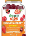 Lifeable Kids Immune Support Gummies Elderberry Vitamin C And Zinc Great Tasting Immune Support Supplement Elderberry Gummies For Kids Kids Elderberry Gummies For Boys Girls 90 Gummies