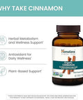 Himalaya Organic Cinnamon For Glycemic Support 1100 Mg Daily 60 Tablets From Cassia Cinnamon Bark And Ceylon Cinnamon Extract Nongmo Project Verified Vegan Gluten Herbal Supplement