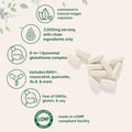 Micro Ingredients Liposomal Reduced Glutathione Complex 3000Mg - 8 In 1 Advanced Glutathione Supplement With Nad Resveratrol Quercetin Alpha Lipoic Acid & Vitamin C 120 Vegetarian Caps