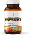 Secrets of the Tribe Eucalyptus 60 Capsules, Made with Vegetable Capsules and Eucalyptus (Eucalyptus Globulus) Dried Leaf (60 Capsules)