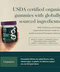 Gaia Herbs Black Elderberry (Sambucus Nigra) Extra Strength Gummies Delicious Immune Support Supplement Made With Organic Black Elderberries For Immune System Support 40 Gummies