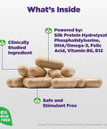 Natrol Cognium Complete Dietary Supplement For Brain Health Brain Health Supplements For Adults 60 Capsules 30 Day Supply