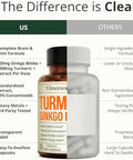 Ginko Biloba Capsules with Ginkgo Biloba 120mg & Organic Turmeric for Joint Support Focus and Brain Health Gingo Biloba Supplement with Black Pepper (Bioperine) for Max Absorption 60 Count