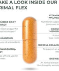Primal Harvest Primal Flex With Turmeric Hyaluronic Acid Type Ii Collagen And Boswellia For Joint Comfort Flexibility And Mobility Support