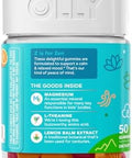 Olly Kids Chillax Gummies Magnesium LTheanine Lemon Balm Chewable Supplement Sherbet Flavor
