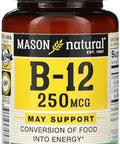 Mason Vitamins Mason Vitamin B 12 250Mcg Tablets