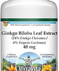 Terravita Ginkgo Biloba Leaf Extract (24% Ginkgo Flavones, 6% Terpene Lactones) - 450 Mg (100 Capsules, Zin: 514347)
