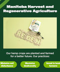 Manitoba Harvest Regenerative Organic Hemp Hearts, Shelled Hemp Seeds - 12oz - 10g Plant Protein & 12g Omega 3 & 6 per 30g Serving - Easy-to-Digest Super Seeds - Gluten Free, Non-GMO Project Verified