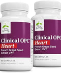 Terry Naturally Clinical Opc Heart Heart Health Supplement With Magnesium Vitamin B6 Grape Seed Extract Dietary Supplement For Artery Health & Circulation 60 Capsules