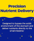 Enzymedica Phbasic Includes Digestive Enzymes Nutrients & Herbs Supports Healthy Digestion & Ph Balance 120 Count