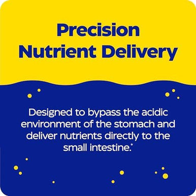 Enzymedica Phbasic Includes Digestive Enzymes Nutrients & Herbs Supports Healthy Digestion & Ph Balance 120 Count