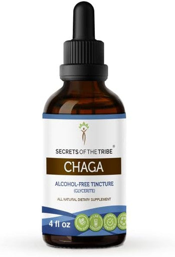 Secrets of the Tribe Chaga Tincture Alcohol-Free Extract, High-Potency Herbal Drops, Tincture Made from Wildcrafted Chaga (Inonotus obliquus) Dried Mushroom 4 oz