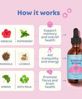 JoySpring Genius Drops and Vitamin C School Backup Bundle Kids Vitamins Naturally Sourced NonGMO NonAlcoholic Liquid Formula Immunity Health Support Vegan and Vegetarian Supplement Drops