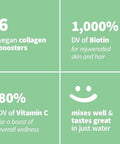 Sprout Living Colorfuel Beauty Powder Drink Mix Organic Superfoods + Adaptogens Hair Skin & Nails Support Vegan Collagen Boost Biotin Silica Vitamin C Super Berry Flavor (25 Servings)