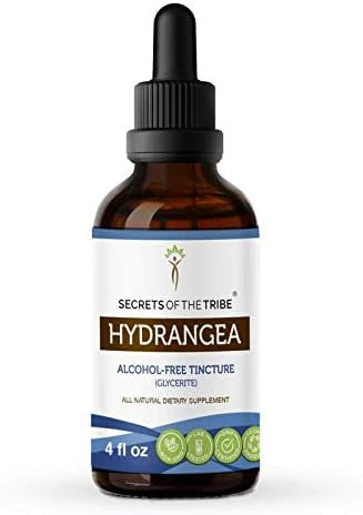 Secrets of the Tribe Hydrangea Tincture Alcohol-Free Liquid Extract, Hydrangea (Hydrangea arborescens) Dried Root (4 FL OZ)
