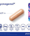 Pure Encapsulations Pycnogenol 100 mg 30 vegcaps