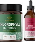 Herbamama Chlorophyll And Black Elderberry Kit - Bundle Of 50Mg Chlorophyll Gummies & Black Elderberry Extract Tincture 4 Fl Oz - Vegan Non-Gmo Sugar & Alcohol- - 2 Pack