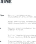 Revive Md Mushroom Powder Chocolate - Mushroom Supplement Supports Focus Cognitive Immune & Brain Health With A Blend Of Lion'S Mane Reishi Chaga Shiitake & Maitake - Gluten- - 30 Servings