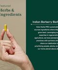 Gaia Herbs Pro Berberine Metabolic Supplement Supplement With Berberine Hci Vegan Gluten Soy 60 Capsules (60 Servings)
