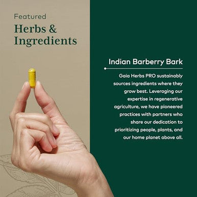 Gaia Herbs Pro Berberine Metabolic Supplement Supplement With Berberine Hci Vegan Gluten Soy 60 Capsules (60 Servings)