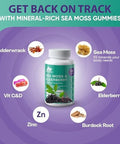 Bio Vitalica Sea Moss Gummies Elderberry Biovitalica - Vitamin C D + Zinc - Irish Seamoss Vegan Gummy With Sea Moss Gel & Powder For Immunity, Detox - For Adults And Kids