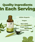 Maryruth's Organics Oregano Oil Drops 1 Fl Oz