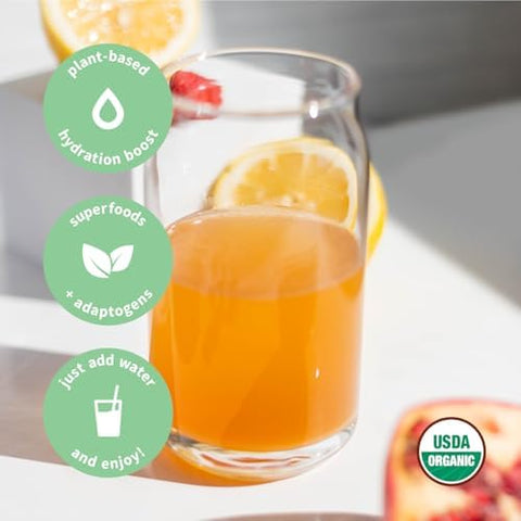 Sprout Living Colorfuel Hydration Powder Drink Mix Organic Superfoods + Adaptogens Hydration & Recovery Electrolytes Himalayan Pink Salt Coconut Water Lemon Citrus Flavor (15 Stick Packs)