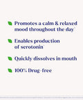 Natrol 5-Htp 100 Mg Fast Dissolve Supplement Supports A Balanced Mood Serotonin Production And General Well-Being 30 Mixed Berry Tablets Up To A 30 Day Supply