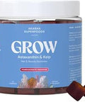 Grow Hair and Beauty Gummies Supplement with Zinc Vitamin E Astaxanthin Kelp and Pumpkin Seed Plant Based Gummies for Women and Men Gluten Vegan American Made 60 Count