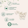 Zinc Carnosine 75Mg 240 Veggie Capsules 10In1 Zinc Supplements For Men and Women With Glutamine Dgl Licorice Quercetin Slippery Elm Bark and Ginger Root NonGmo Gluten