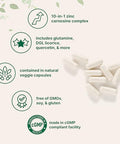 Micro Ingredients Zinc Carnosine 75Mg 240 Veggie Capsules 10-In-1 Zinc Supplements For Men & Women With Glutamine Dgl Licorice Quercetin Slippery Elm Bark & Ginger Root Non-Gmo Gluten Free
