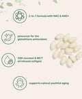 Micro Ingredients Nac Supplement 600Mg With Nad & Coconut Oil 300 Softgels 2-In-1 N Acetyl L Cysteine Plus Nicotinamide Forms Nad Supplements For Women & Men Non-Gmo Gluten Free
