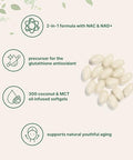 Micro Ingredients Nac Supplement 600Mg With Nad & Coconut Oil 300 Softgels 2-In-1 N Acetyl L Cysteine Plus Nicotinamide Forms Nad Supplements For Women & Men Non-Gmo Gluten Free
