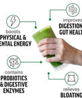 Force Factor Smarter Greens Superfoods + Energy Powder To Boost Energy & Support Digestion Gut Health Bloating Greens Powder With Digestive Enzymes Probiotics & Prebiotics Lemon Lime 30 Servings