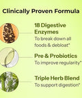 Hum Flatter Me Digestive Enzymes Plus Prebiotics & Probiotics Digestive Health 60 Capsules